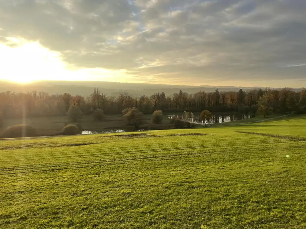 November view over southern canton Zürich, Thursday 14th November 2024, late afternoon.

#switzerland #photography #naturephotography 
@PhotographersCorner