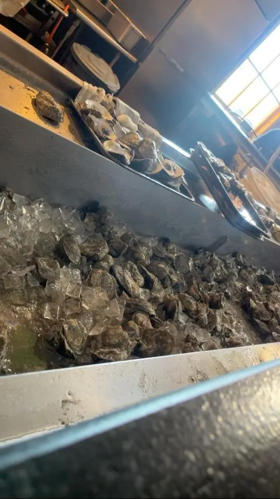 Fresh oysters 
Pinned to Storiboard @stori