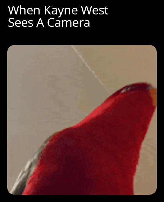 Everyone say cheese

Everyone: 😀😀😀😀
Kayne : 😐