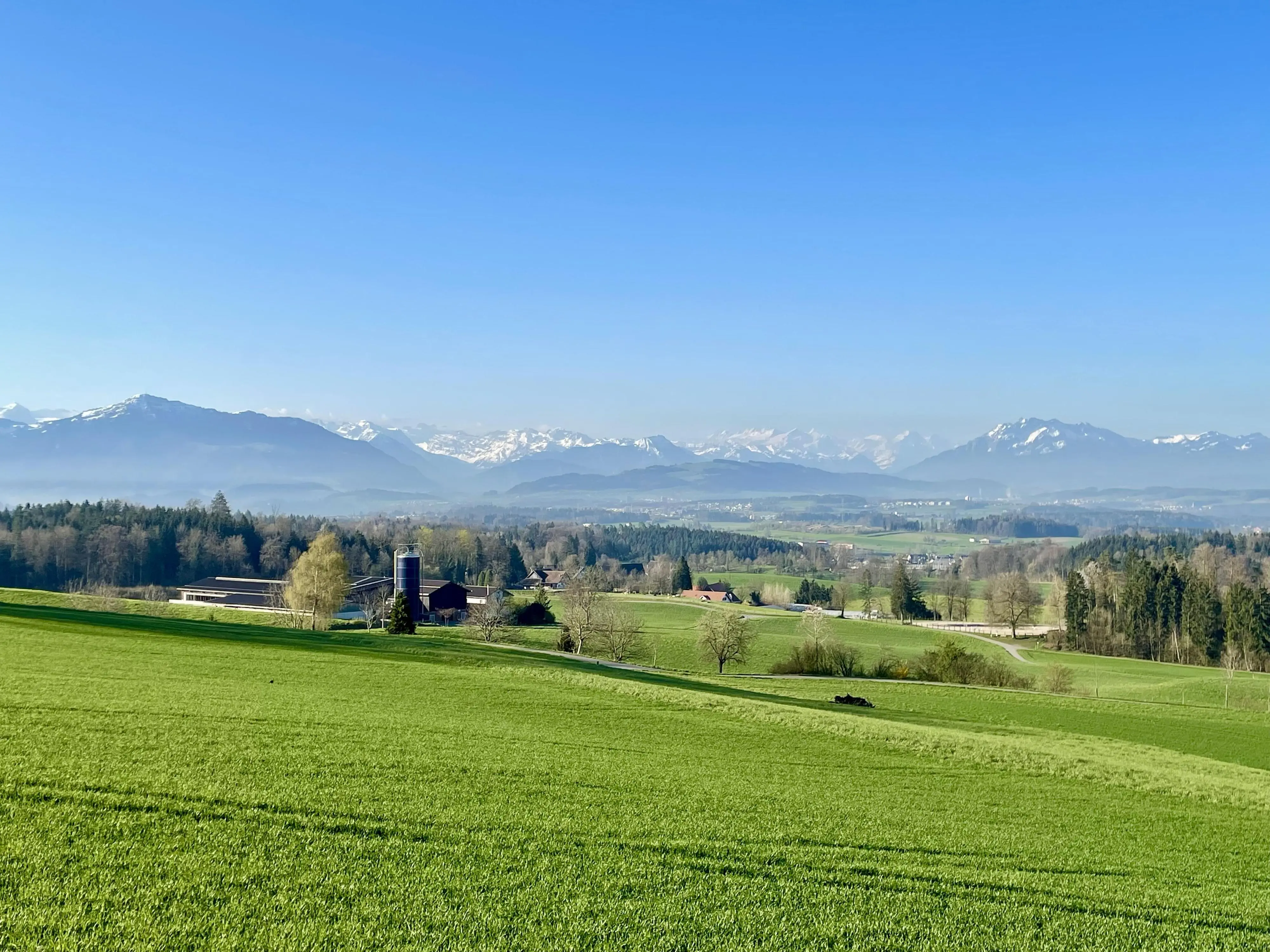 View to the alps of Central Switzerland. Mount Pilatus (Lucerne) on the right, and Rigi (canton Zug) at the left.

Photo taken April 5 2025, 09:00

Compare to the photo taken two weeks ago, similar weather, but the nature already became MUCH more green, and the snow became less.

#switzerland #mountains #photography #naturephotography #spring
@photographerscorner