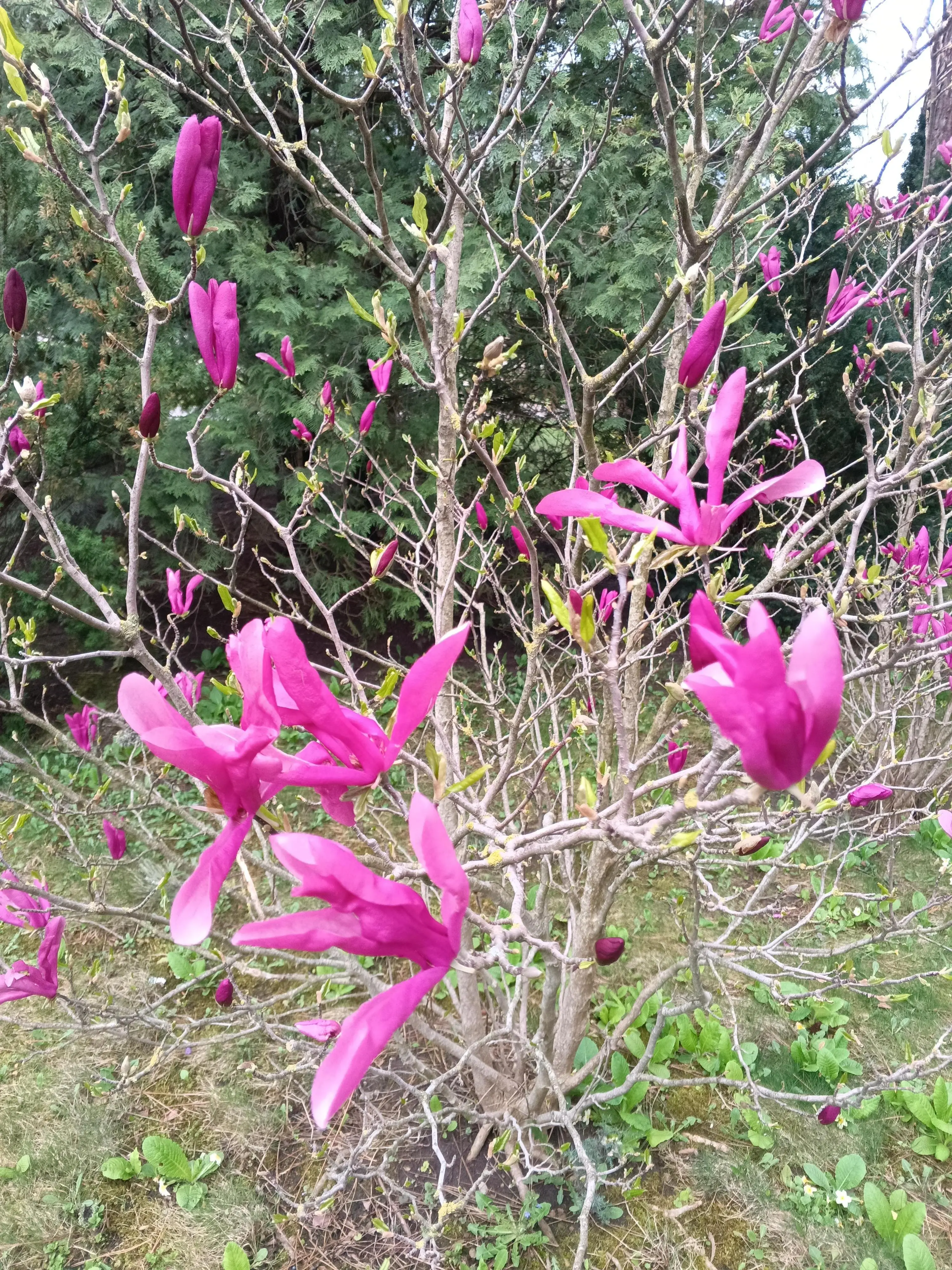 It's so beautiful 😍