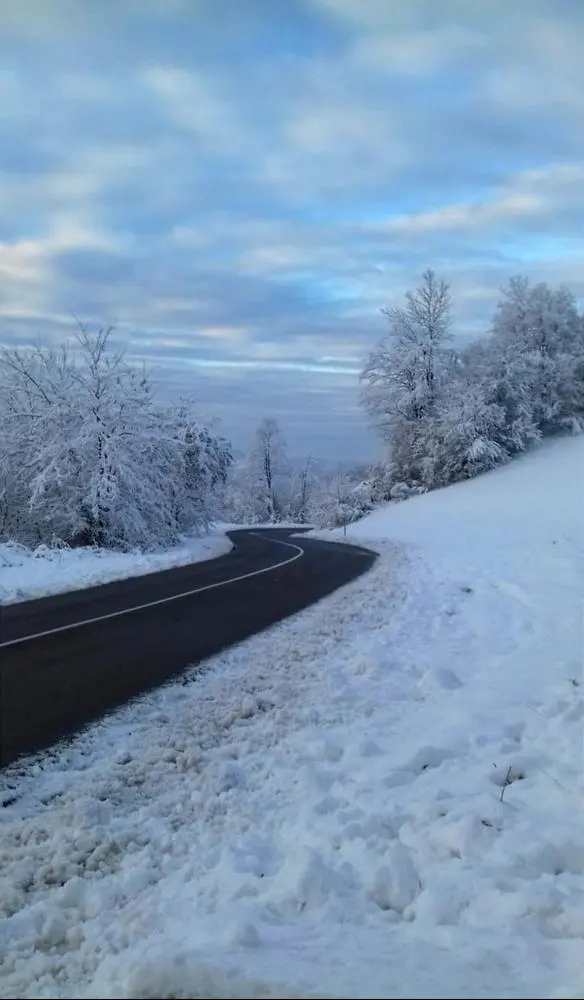 Go for a walk(:

#nft #nfts #bitclout #cloutnft #cloutfeed #photography #deso #winter 