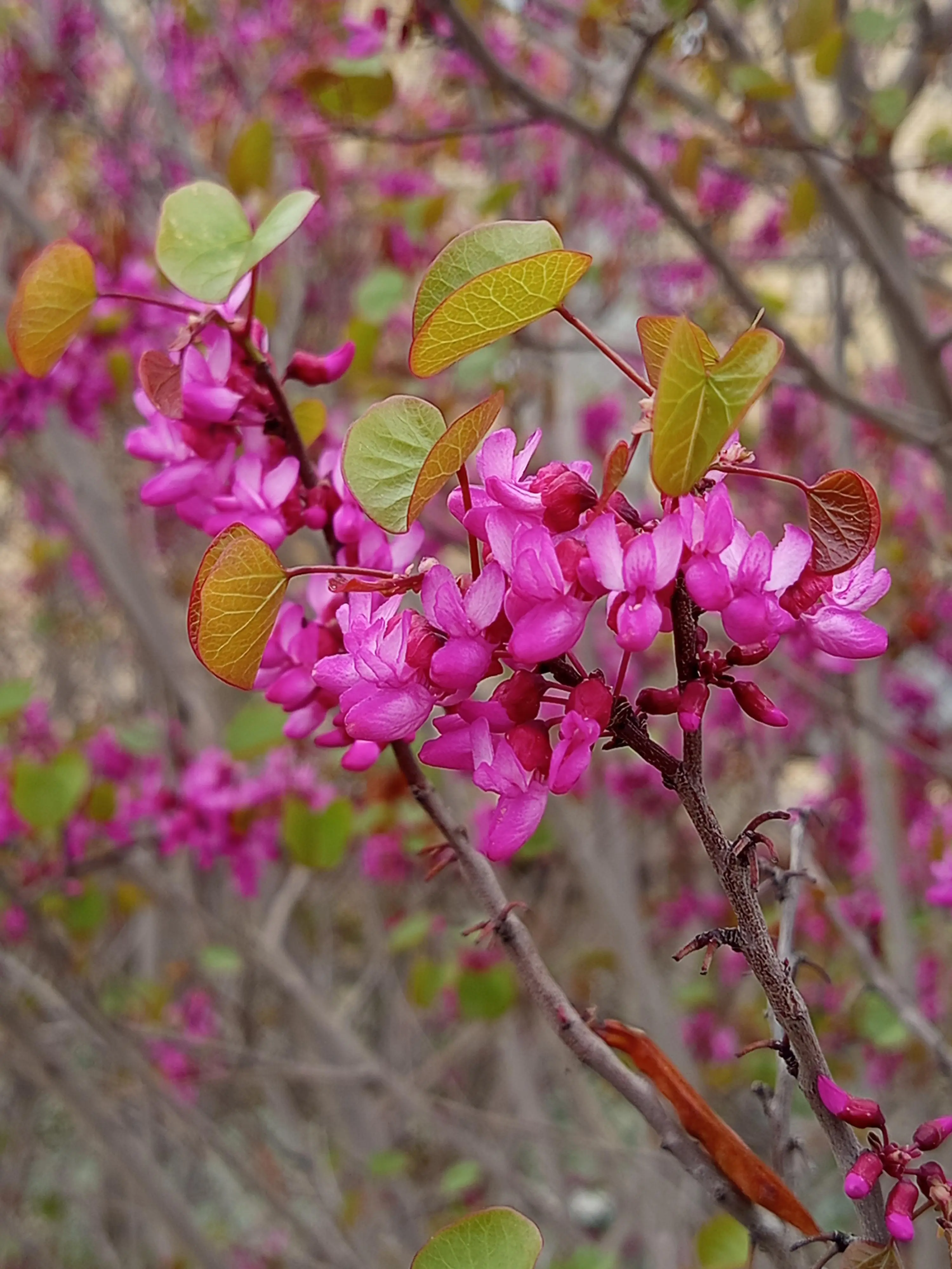 Good morning Deso Fam ♥️ 
