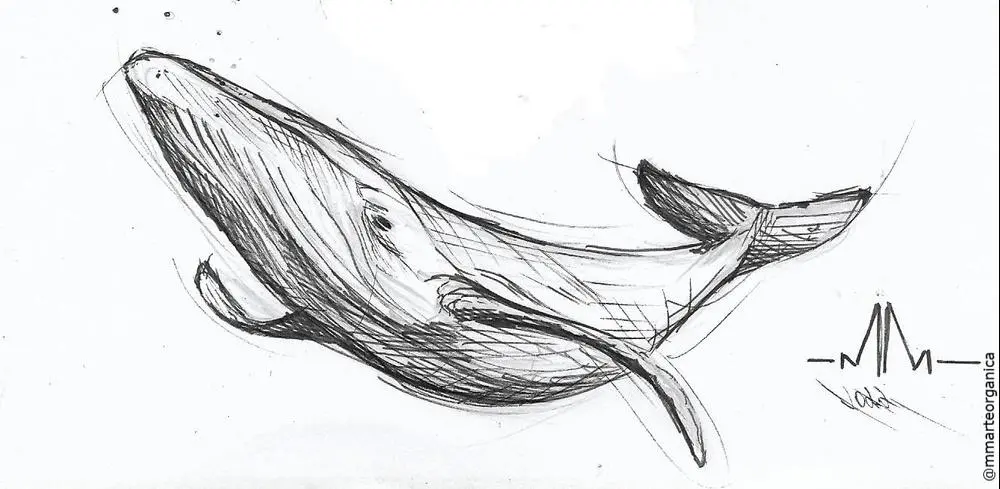 "The Giant of the Sea". Illustration - Marine Life Collection.

In many cultures, the whale is a symbol of love - poetics of the sea.

Hand drawn. Illustration - the principle of ideas.

Available in NFT: https://mmarteorganica.nftz.me/

#illustration #sketch #penonpaper #authorialdrawing #tattoo #nft #paintingoncanvas #streetart #muralism