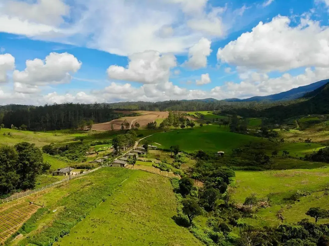 Srilankan landscape.