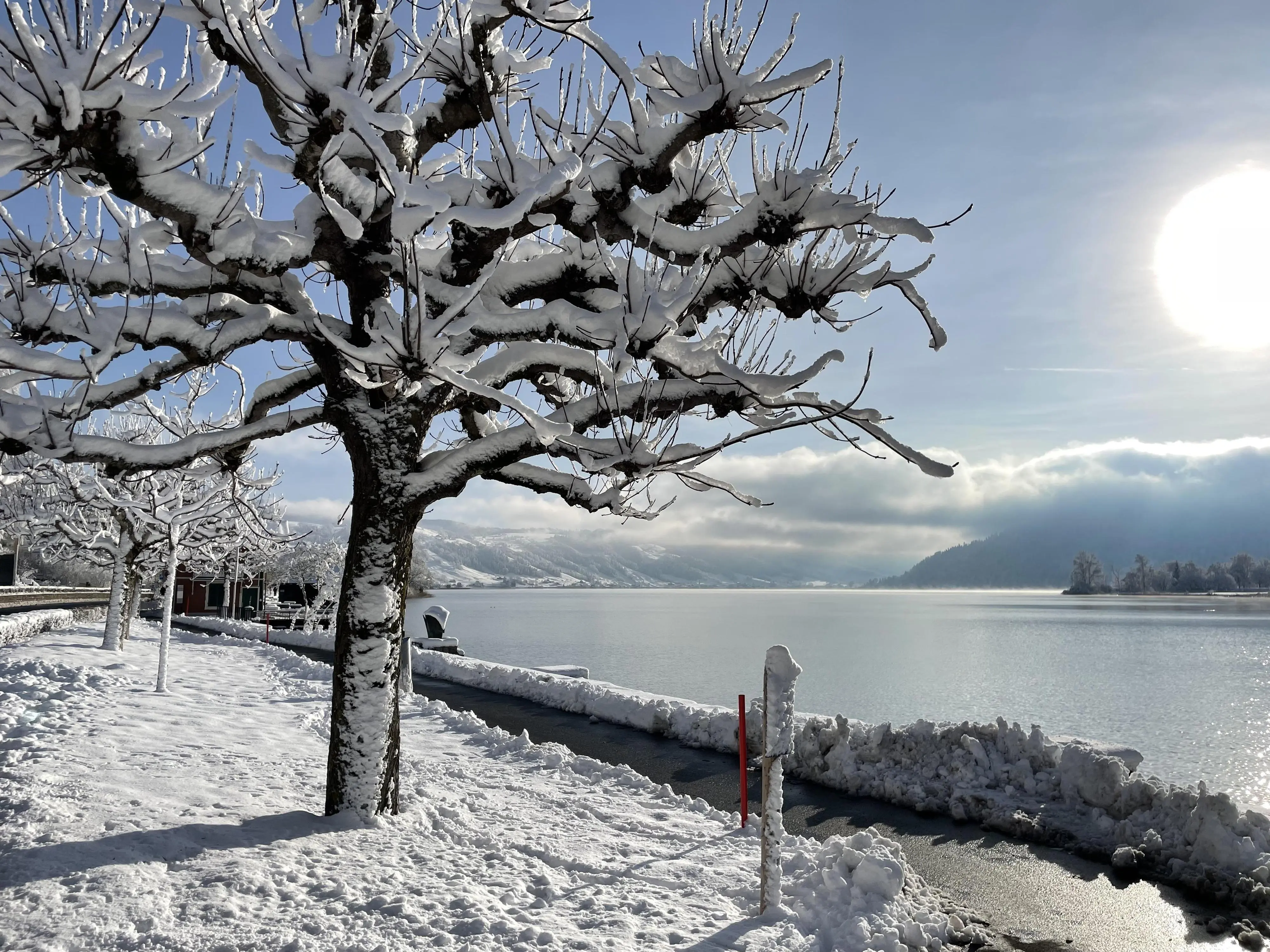 Ägerisee (Lake Aegeri) in Canton Zug, on Saturday 4th of January 2025.

https://en.wikipedia.org/wiki/%C3%84gerisee

Photo taken from here:

https://www.google.ch/maps/@47.1382731,8.5894435,3a,75y,123.24h,91.18t/data=!3m7!1e1!3m5!1sAiGbKoQtkp8v6fue68wRyg!2e0!6shttps:%2F%2Fstreetviewpixels-pa.googleapis.com%2Fv1%2Fthumbnail%3Fcb_client%3Dmaps_sv.tactile%26w%3D900%26h%3D600%26pitch%3D-1.184072760244078%26panoid%3DAiGbKoQtkp8v6fue68wRyg%26yaw%3D123.23663043801317!7i16384!8i8192!5m1!1e1?entry=ttu&g_...