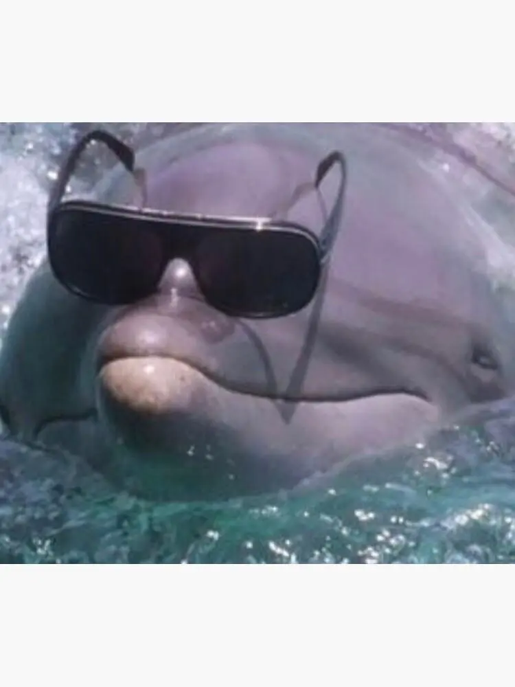 RALLY UP Y'ALL 🔥🔥🤡🤡🔥🔥

Invest in our devs and infrastructure if you're serious about DESO. Any amount counts, no matter how small!
🤘🤘🤏🤏☮️☮️☮️✌️✌️🤘🤘

DESO NFTz to the moon  🤠🐸🦭🦆🐧🐔🤡
🔥🔥🔥🚀🚀🚀🚀🚀🚀
TO SPACE
🛸🛸🛸🛸🛸🛸
then rug ALL your money out once DESO becomes popular!!!
📈📈📈📈📉📉📉📉

 ↓ ↓ ↓ ↓ Be cool like this dolphin and contribute to the poolz  ↓ ↓ ↓ ↓