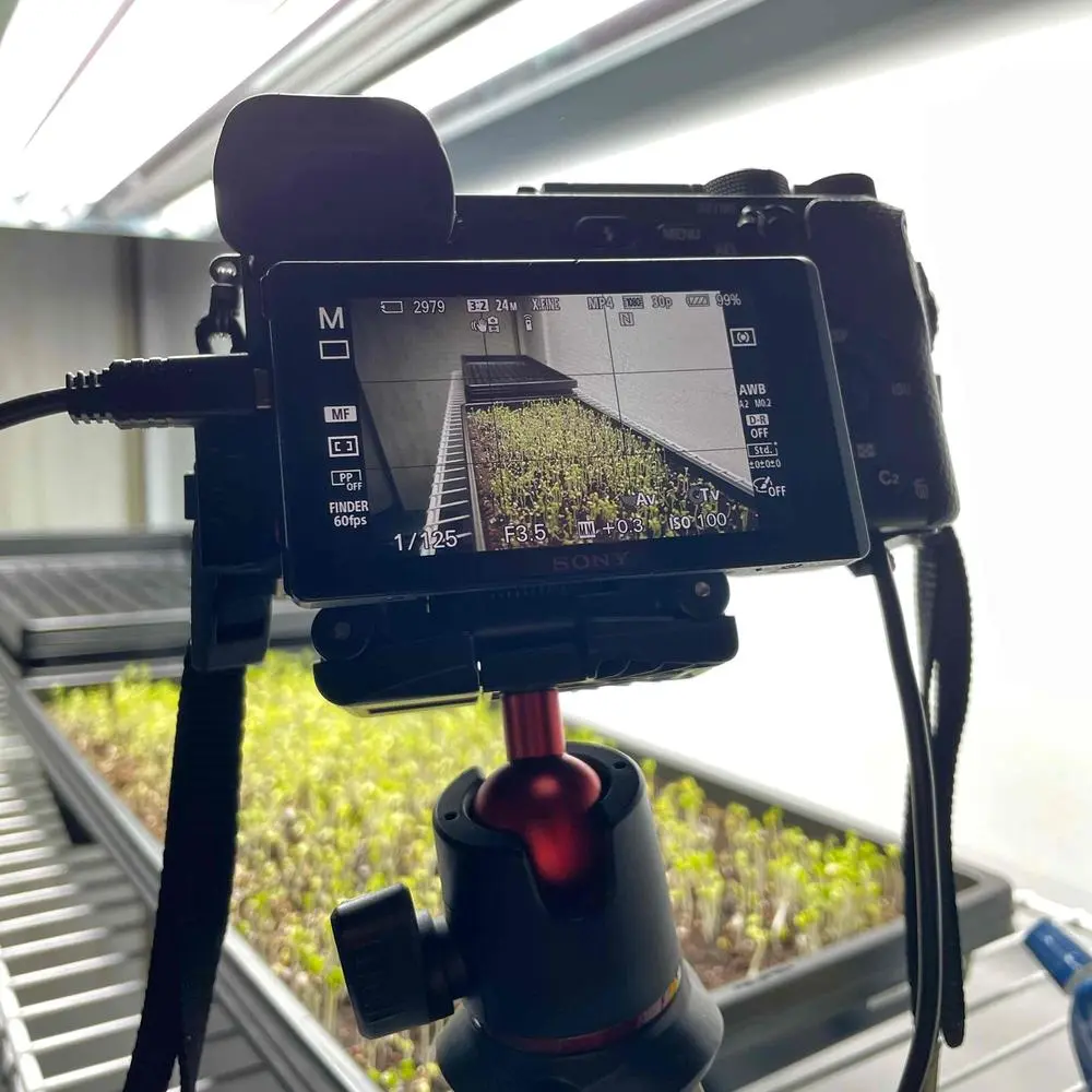 Growing microgreens and creating a timelapse. Should be a good one!