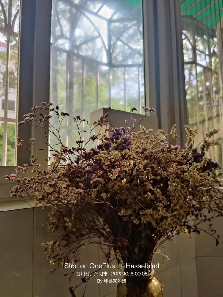 家人们，早上好。