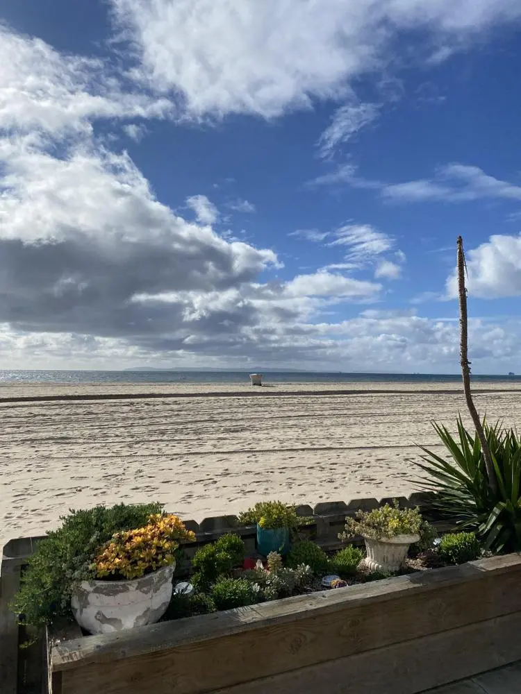 You aren’t spending enough time looking at the horizon, anon 