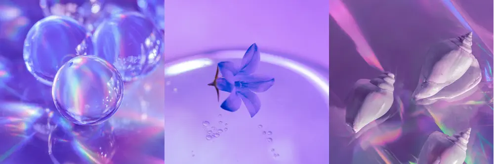 Big, big love for early supporters. I will work hard to provide the best #NFT collections to the community.