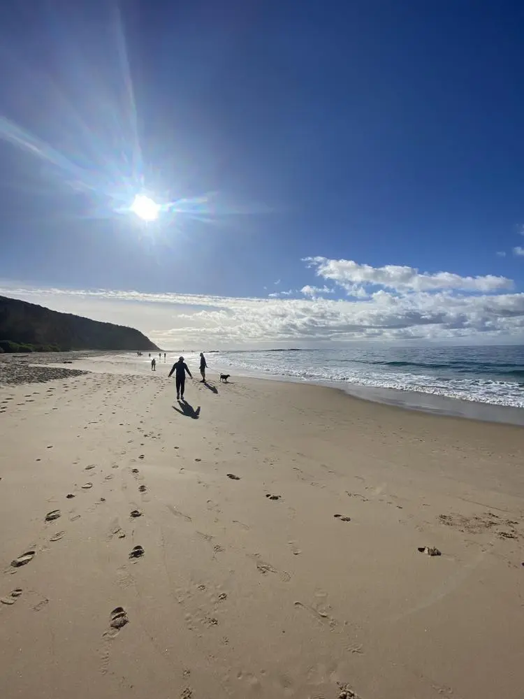 All memes aside, thanks for a great year, BitClout. I met a ton of amazing folks here and built valuable confidence and comfort writing everyday for @bitstoday. 

Hope y’all r doin Gr8 ✌🏼 