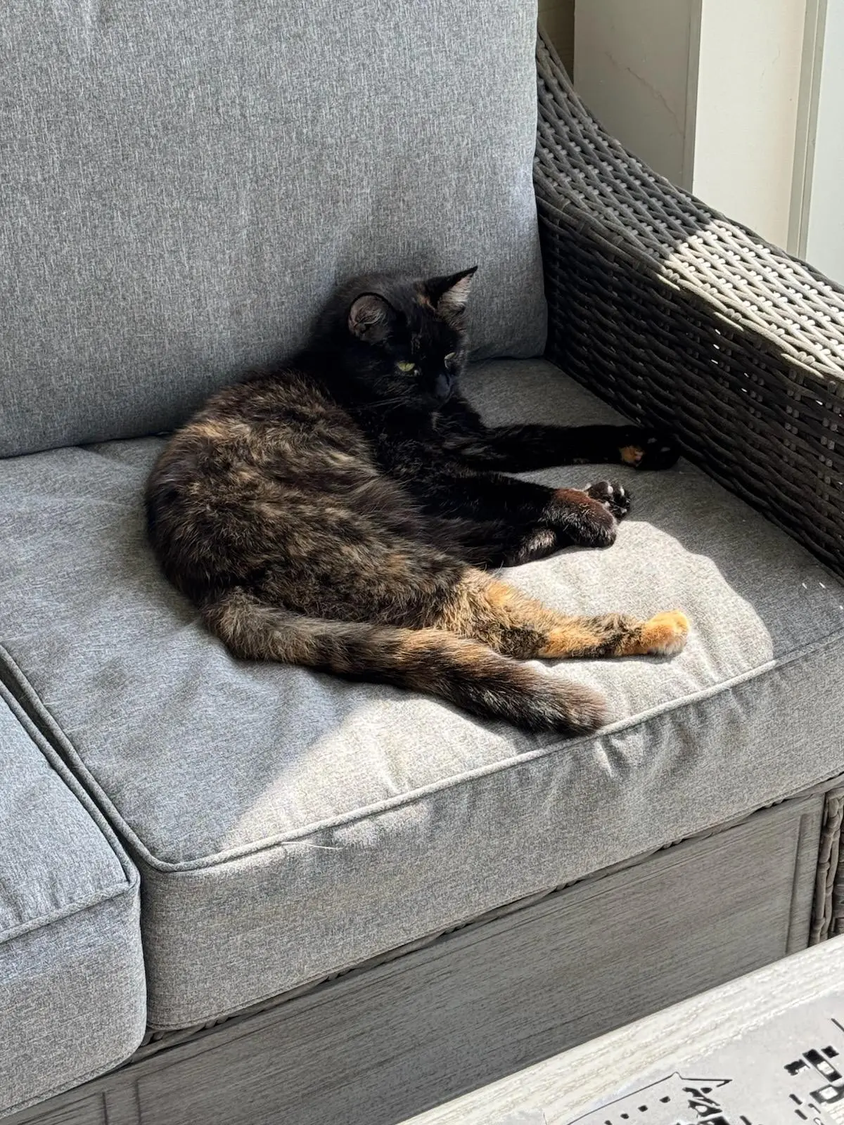 I love my screened in patio! But I don't really want to venture outside-outside! 

-Sammie-