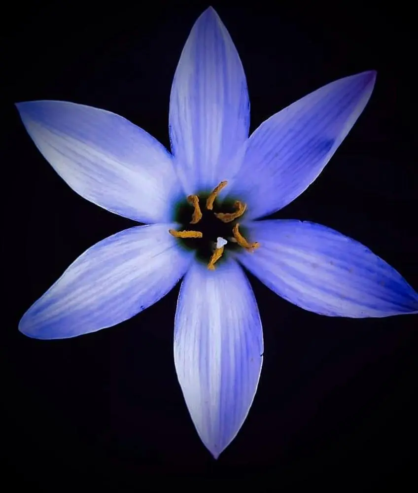 🌼🌼

Posted via @cloutfeed