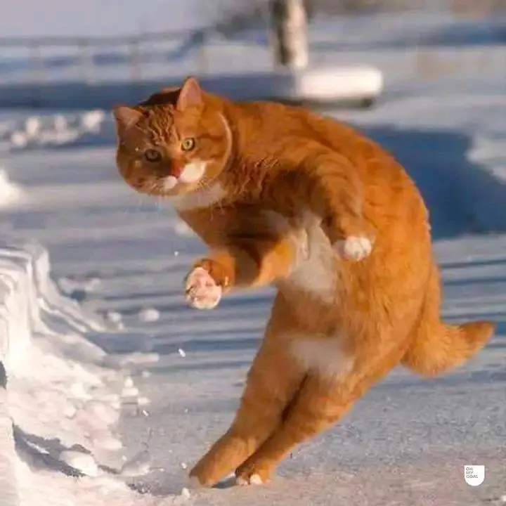 Declan Rice vs Real Madrid 😁