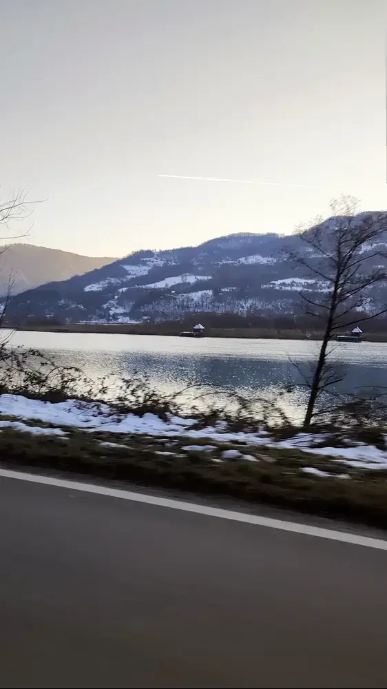 Stay wild! (: 
#cloutnft #cloutfeed #nature #deso #nft #nfts 