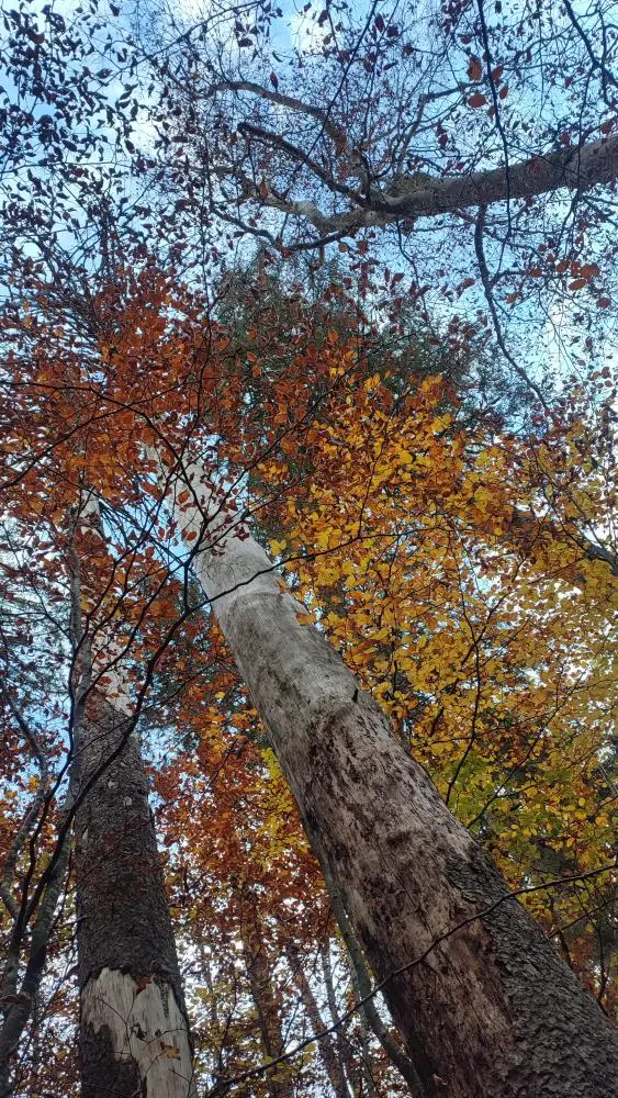 Wish you wisdom in spending time my friends:)