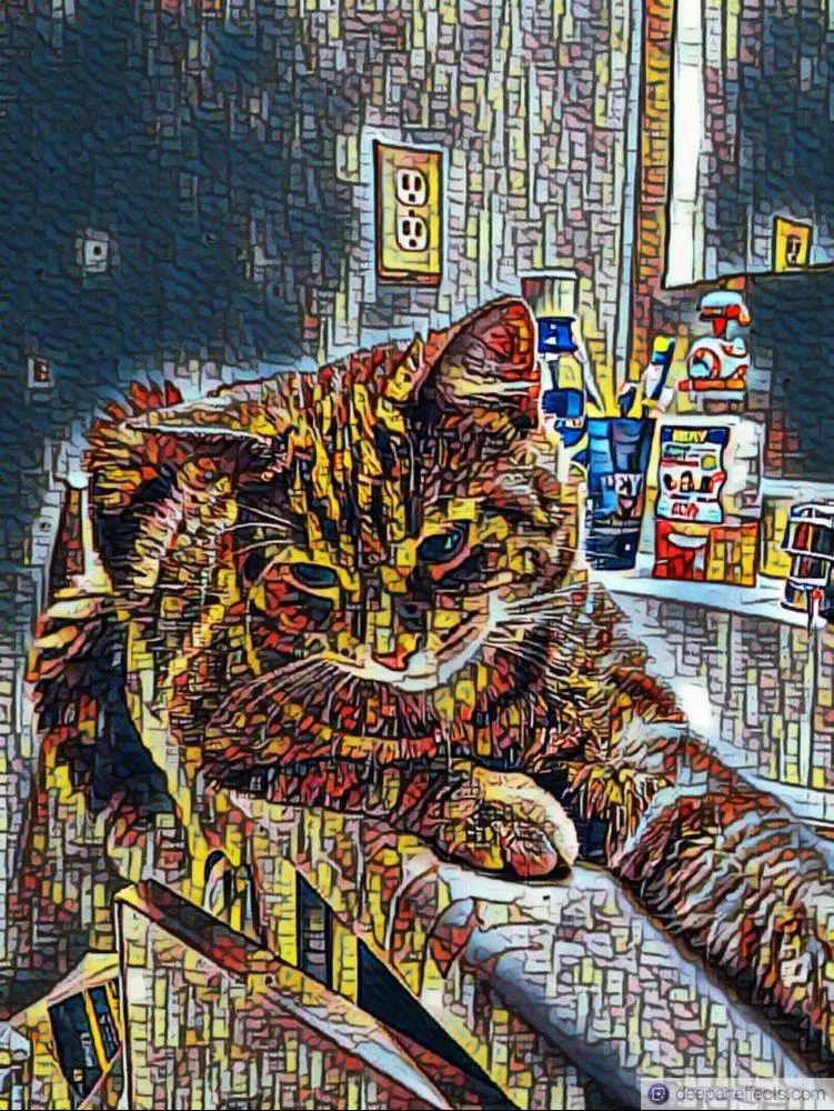 Her : Cats are alright.. but they can't pay the bills... 💅

Me: We'll see about that 😼