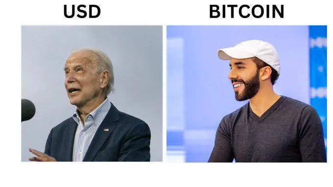 USD vs Bitcoin
#NFT #wallpaper #art #images #deso