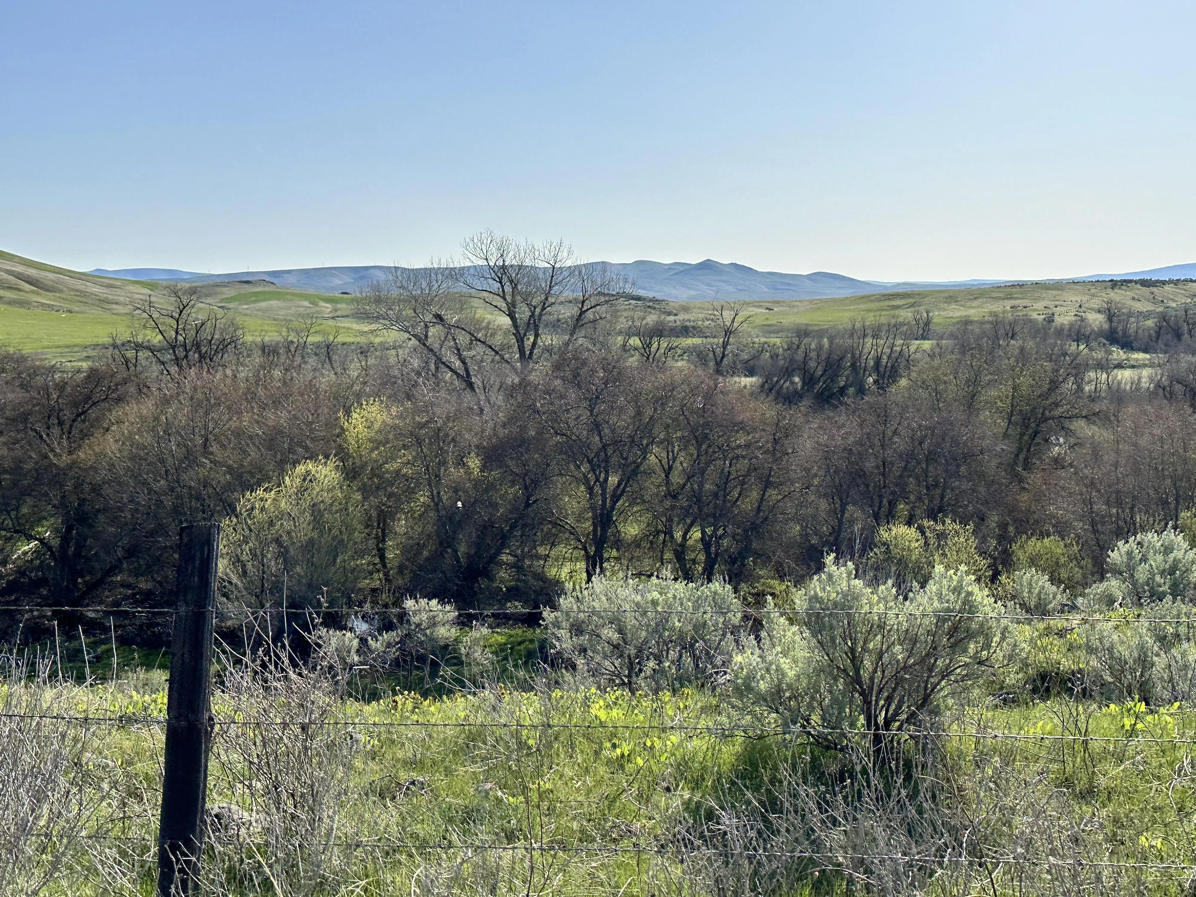  Beautiful morning views…