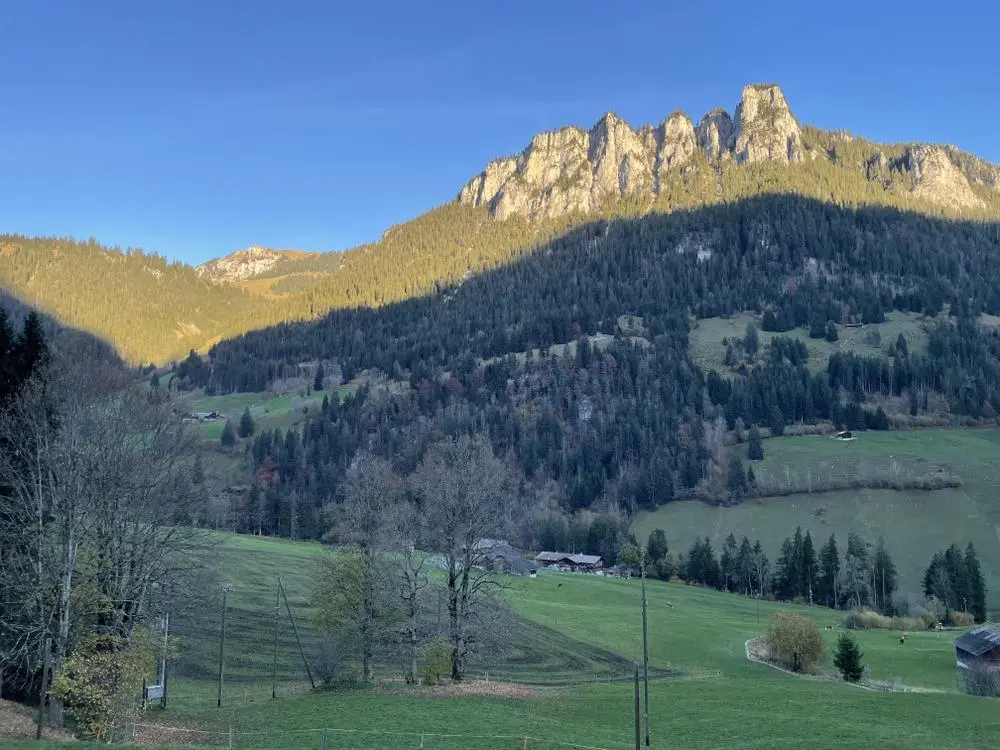 Today‘s morning view in the Diemtigtal (Diemtig Valley) in Bernese Oberland.

https://de.wikipedia.org/wiki/Diemtigtal

#switzerland #photography #naturephotography #mountains #berneroberland 
@PhotographersCorner 