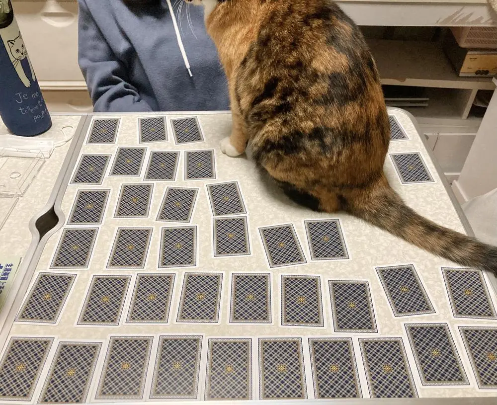 @MayumiJapan ’s classroom. #mikepi 