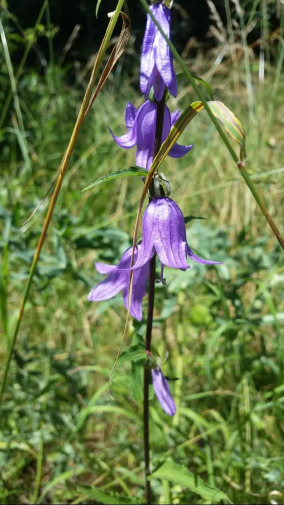 actually, i took a picture today, that i am sharing with you. i hope you like it.
#PhotographersCorner