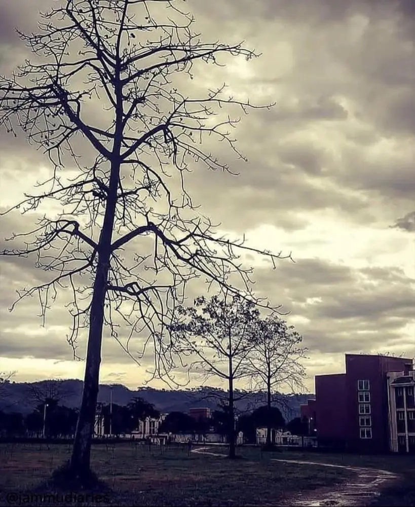 Good Morning DeSo fam 🥰

Posted via @cloutfeed